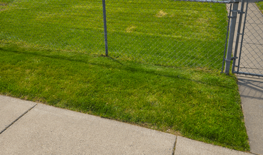 LAWN EDGING